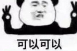 信用证催收业务：企业风险管理与国际贸易保障的关键